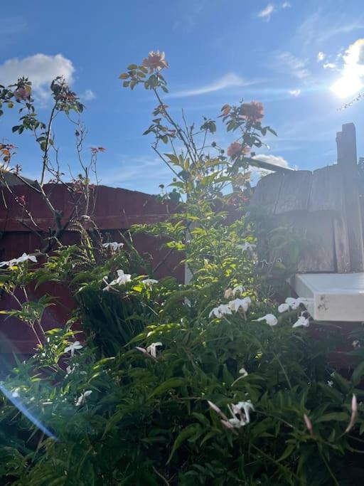 Fylde Coast - From Holiday home